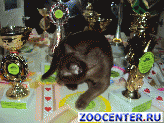 ����� ��� � ���������� � ��� ���� ������ �������