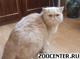 ������������ ������� � ������ ����