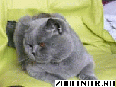 �, �, �, �, �, 916-175-3555 � � � � � � � �