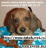 �Ѩ � �����. �����. ����� �����