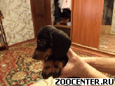 ������ ������ ����� ��������������