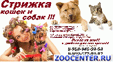 We offer for your Attention!our services Haircuts cats and dogs!Record by phone: 8-968-940-94-94 OR 8-909-677-90-92 Olga are WORKING around the CLOCK! LEAVE THE HOUSE POSSIBLE! Grooming cats and dogs!