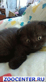 ������