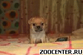 ��������� ����� �/� ��������