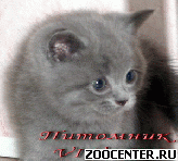 ���������� ������� ������ �� ��������� VIVIAN