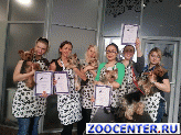 ����� ��������