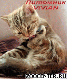 ���������� ������ ��������� ��������� �� ��������� VIVIAN