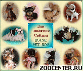 � ��� ������� ������ � - �HOUSE PET DOG� ����������