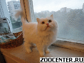 ����� - ����-������� - � ������ ����