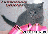 ���������� ������ �� ��������� VIVIAN