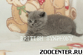 ���������� ������ �� ��������� British Symphony. �����