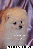 ����� - ��������� �������������� �����