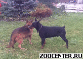 ������ �������� ����� ���� ����� ���