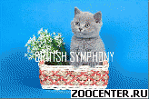 ���������� ������ �� ��������� BRITISH SYMPHONY