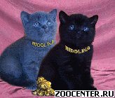 ���������� ������. �������� Ridolina