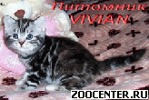 ���������� ������ ��������� ��������� �� ��������� VIVIAN