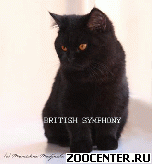 ������ ���������� ������. �������� ���������� ����� ; BRITISH SYMPHONY;