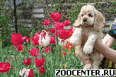 ������������� ����� �������� �����