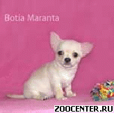 �������� - ��������� ���������!