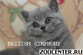 ���������� ������ �� ��������� British Symphony. �����
