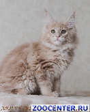 �������� ������� Dulcie