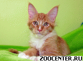 �������, ������: http://olimpian.ru