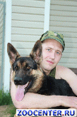 
Dog training