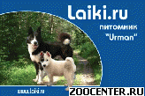 LAIKI. RU �������� ��������� �����