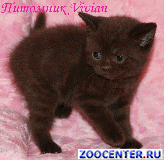 ���������� ���������� ������ �� ��������� VIVIAN