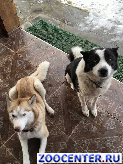 ����� � ������� ���� ������ 1, 5 ������