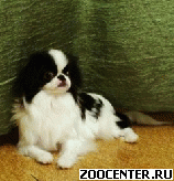 �������� ��� ����-��������� � ����-������� ������