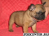 � � � � � � � � � � � ���������