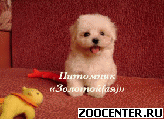 �������������� ����� �������� ���� � ��������