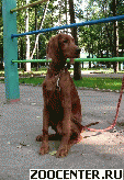 ���������� ������ - ����� �� �������� ������