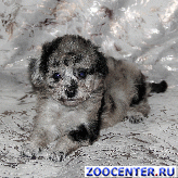 ����� ���-������ ���o��� �p���p���