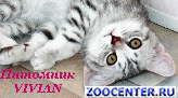 ���������� ������ ������ �� ��������� VIVIAN
