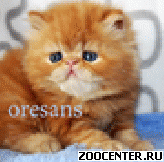 ���������� ������ �� ����������� ��������� Oresans