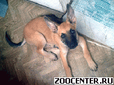 ����� � ����� ������ ��� 3 ���