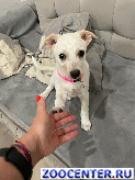 ����� � ������ ����