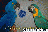 ������� ��� - ������ ������ �� ���������� ������