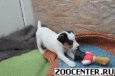 ����� ���� ������ �������