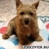 ����� ������ ������ ������-������