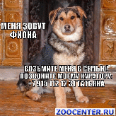 ����� ������ �����, ������ � ���, ����� ������ ���������