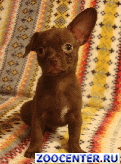 �����-���, ������ �����, ����, ���������� � ����� � �����