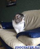 ����� �����