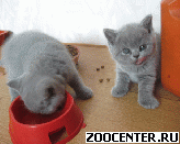 ������� � ������� ���������� ������ �� ��������� ����� ����� ����������