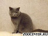 �����