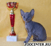 ������ ���� - ������� ������