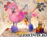 �����, , ZOO-����������, ���������� �� ������� ����� � ����� ���� �����!