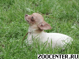 �������� ���� � ����� ����